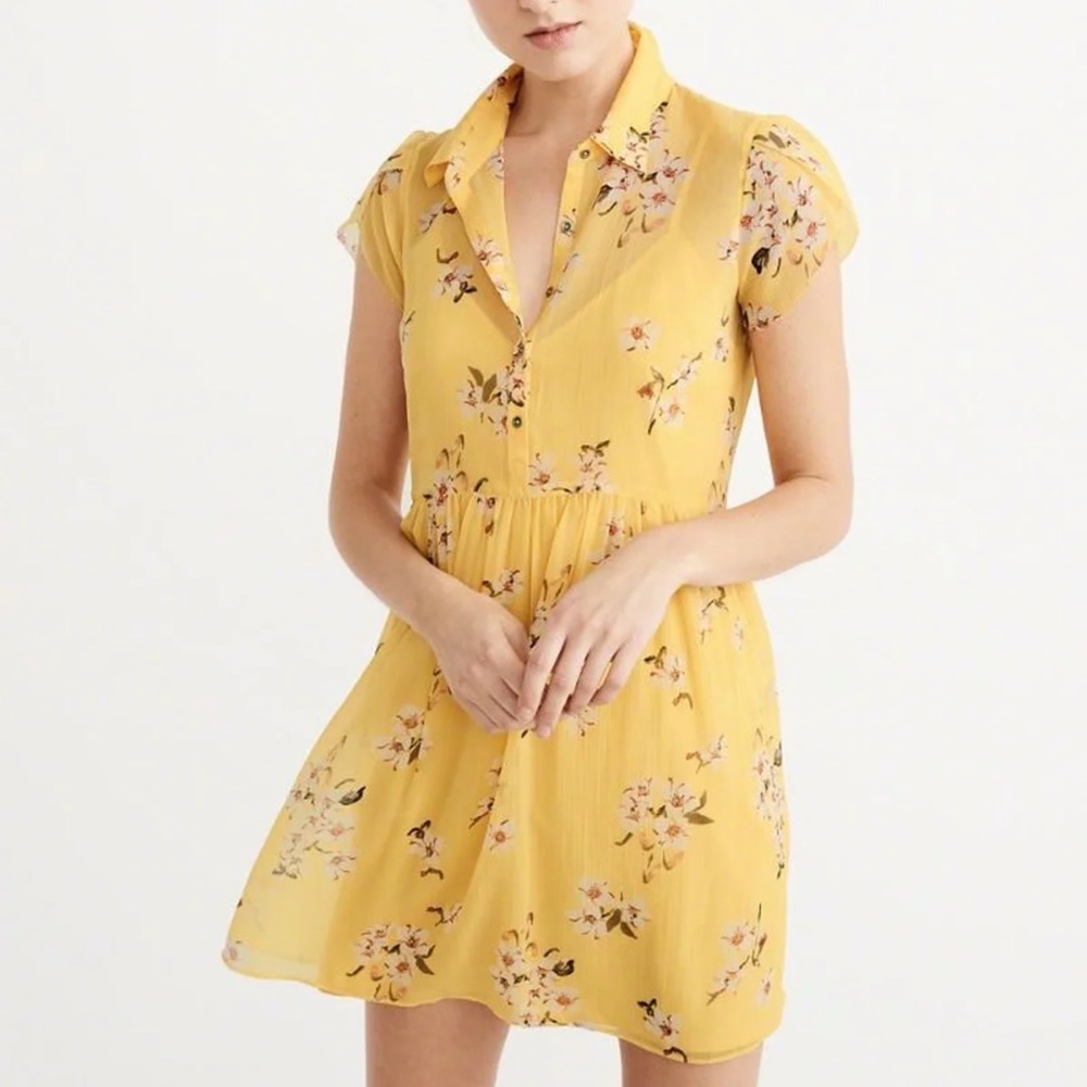 A&F Floral Button Down Shirtdress